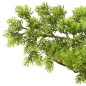 vidaXL Künstlicher Bonsai Zypresse mit Topf 60 cm Grün vidaXL Künstlicher Bonsai Zypresse mit Topf 60 cm Grün