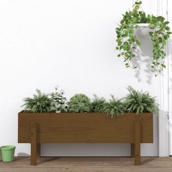 vidaXL Hochbeet Honigbraun 101x30x38 cm Massivholz Kiefer