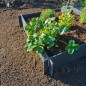 Nature Gartenhochbeet 19 cm 6040690 Nature Gartenhochbeet 19 cm 6040690