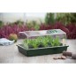 Nature Frühbeet-Box 55x31x21 cm Nature Frühbeet-Box 55x31x21 cm