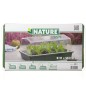 Nature Frühbeet-Box 55x31x21 cm Nature Frühbeet-Box 55x31x21 cm