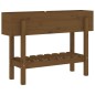 vidaXL Hochbeet Honigbraun 101x30x69 cm Massivholz Kiefer vidaXL Hochbeet Honigbraun 101x30x69 cm Massivholz Kiefer