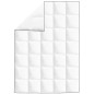 vidaXL Winter-Daunendecke 2 Stk. 155x220 cm vidaXL Winter-Daunendecke 2 Stk. 155x220 cm