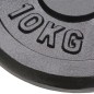 vidaXL Hantelscheiben 2 Stk. 2x10 kg Gusseisen vidaXL Hantelscheiben 2 Stk. 2x10 kg Gusseisen