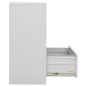 vidaXL Aktenschrank Hellgrau 90x46x103 cm Stahl vidaXL Aktenschrank Hellgrau 90x46x103 cm Stahl