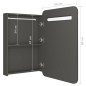 vidaXL LED-Bad-Spiegelschrank Anthrazit 60x11x80 cm vidaXL LED-Bad-Spiegelschrank Anthrazit 60x11x80 cm