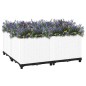 vidaXL Hochbeet 80x80x38 cm Polypropylen vidaXL Hochbeet 80x80x38 cm Polypropylen