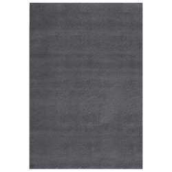 vidaXL Teppich Waschbar Flauschig Kurzflor 200x290 Rutschfest Anthrazi