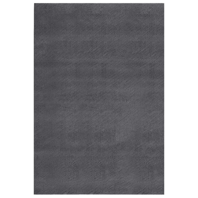 vidaXL Teppich Waschbar Flauschig Kurzflor 200x290 Rutschfest Anthrazi vidaXL Teppich Waschbar Flauschig Kurzflor 200x290 Rutschfest Anthrazi