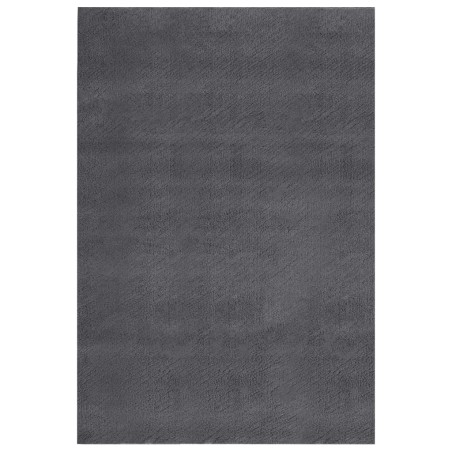 vidaXL Teppich Waschbar Flauschig Kurzflor 200x290 Rutschfest Anthrazi