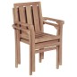 vidaXL Stapelbare Gartenstühle 2 Stk. Massivholz Teak vidaXL Stapelbare Gartenstühle 2 Stk. Massivholz Teak