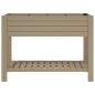 vidaXL Hochbeet Hellbraun 110x45x79 cm Polypropylen vidaXL Hochbeet Hellbraun 110x45x79 cm Polypropylen