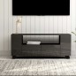 vidaXL TV-Schrank Hochglanz-Grau 120x35x48 cm Holzwerkstoff vidaXL TV-Schrank Hochglanz-Grau 120x35x48 cm Holzwerkstoff