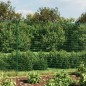 vidaXL Maschendrahtzaun Grün 2,2x25 m Verzinkter Stahl vidaXL Maschendrahtzaun Grün 2,2x25 m Verzinkter Stahl