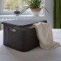 Curver Aufbewahrungsboxen mit Deckel Style 3 Stk. L Anthrazit Curver Aufbewahrungsboxen mit Deckel Style 3 Stk. L Anthrazit