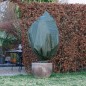 Nature Wintervlies 70 g/m² Grün 2,5x3 m Nature Wintervlies 70 g/m² Grün 2,5x3 m