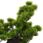 vidaXL Künstlicher Bonsai Pinus mit Topf 70 cm Grün 