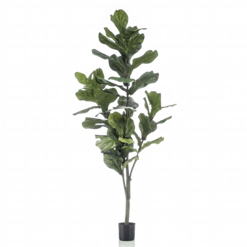 Emerald Geigenfeige Ficus lyrata Künstlich 160 cm Emerald Geigenfeige Ficus lyrata Künstlich 160 cm