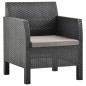 2-tlg. Garten-Lounge-Set mit Auflage PP Rattan Anthrazit 2-tlg. Garten-Lounge-Set mit Auflage PP Rattan Anthrazit