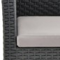 2-tlg. Garten-Lounge-Set mit Auflage PP Rattan Anthrazit 2-tlg. Garten-Lounge-Set mit Auflage PP Rattan Anthrazit
