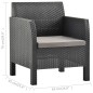 2-tlg. Garten-Lounge-Set mit Auflage PP Rattan Anthrazit 2-tlg. Garten-Lounge-Set mit Auflage PP Rattan Anthrazit