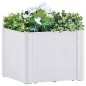 vidaXL Garten-Hochbeet mit Selbstbewässerungssystem Weiß 43x43x33 cm vidaXL Garten-Hochbeet mit Selbstbewässerungssystem Weiß 43x43x33 cm
