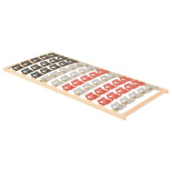vidaXL Lattenrost mit 12 Latten & Tellerfedern 100x200 cm