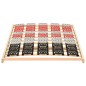 vidaXL Lattenrost mit 12 Latten & Tellerfedern 100x200 cm vidaXL Lattenrost mit 12 Latten & Tellerfedern 100x200 cm