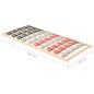 vidaXL Lattenrost mit 12 Latten & Tellerfedern 100x200 cm vidaXL Lattenrost mit 12 Latten & Tellerfedern 100x200 cm