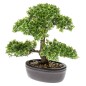 Emerald Kunstpflanze Bonsai Mini-Ficus Grün 32 cm 420002 Emerald Kunstpflanze Bonsai Mini-Ficus Grün 32 cm 420002