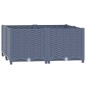 vidaXL Hochbeet 80x80x38 cm Polypropylen vidaXL Hochbeet 80x80x38 cm Polypropylen