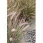 Emerald Künstliches Pennisetum Lampenputzergras Grün 71 cm 418155 Emerald Künstliches Pennisetum Lampenputzergras Grün 71 cm 418155
