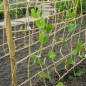 Nature Ranknetz Jute 1,8×5 m Nature Ranknetz Jute 1,8×5 m