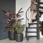 Capi Blumentopf "Nature Rib" Oval 43 x 41 cm Schwarz Capi Blumentopf "Nature Rib" Oval 43 x 41 cm Schwarz