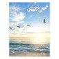 vidaXL Bilderrahmen Collage 5 Stk. für Wand Weiß 40x50 cm MDF vidaXL Bilderrahmen Collage 5 Stk. für Wand Weiß 40x50 cm MDF