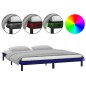 vidaXL Massivholzbett mit LEDs Schwarz 180x200 cm vidaXL Massivholzbett mit LEDs Schwarz 180x200 cm