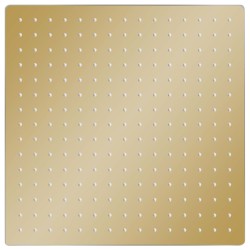 vidaXL Regenbrause Edelstahl 40x40 cm Quadrat Golden