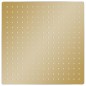 vidaXL Regenbrause Edelstahl 40x40 cm Quadrat Golden vidaXL Regenbrause Edelstahl 40x40 cm Quadrat Golden