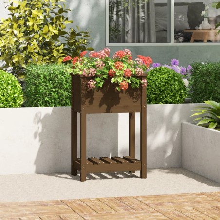 vidaXL Pflanzkübel mit Ablage Honigbraun 54x34,5x81 cm Kiefernholz