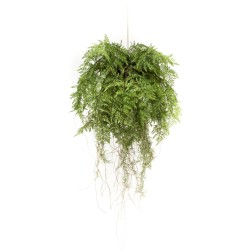 Emerald Künstlicher Farn mit Wurzeln Hängend 55 cm