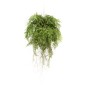 Emerald Künstlicher Farn mit Wurzeln Hängend 55 cm Emerald Künstlicher Farn mit Wurzeln Hängend 55 cm