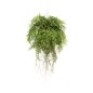Emerald Künstlicher Farn mit Wurzeln Hängend 55 cm Emerald Künstlicher Farn mit Wurzeln Hängend 55 cm