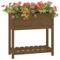 vidaXL Pflanzkübel mit Ablage Honigbraun 82,5x34,5x81 cm Kiefernholz vidaXL Pflanzkübel mit Ablage Honigbraun 82,5x34,5x81 cm Kiefernholz