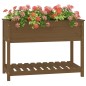 vidaXL Pflanzkübel mit Ablage Honigbraun 111,5x54x81 cm Kiefernholz vidaXL Pflanzkübel mit Ablage Honigbraun 111,5x54x81 cm Kiefernholz