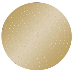 vidaXL Regenbrause Edelstahl 40 cm Rund Golden
