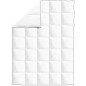 vidaXL Winter-Daunendecke 150x200 cm vidaXL Winter-Daunendecke 150x200 cm