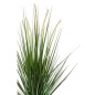 Emerald Kunstpflanze Fuschsschwanzgras Grün 120 cm 418166 Emerald Kunstpflanze Fuschsschwanzgras Grün 120 cm 418166
