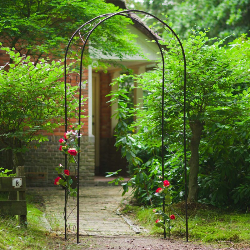 Nature Rosenbogen Metall 100x37x230 cm Schwarz Nature Rosenbogen Metall 100x37x230 cm Schwarz