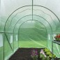 Nature Gewächshaus 3,5x2x2 m Grün Nature Gewächshaus 3,5x2x2 m Grün
