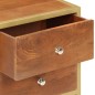 vidaXL Nachttisch 40 x 35 x 50 cm Mango Massivholz vidaXL Nachttisch 40 x 35 x 50 cm Mango Massivholz